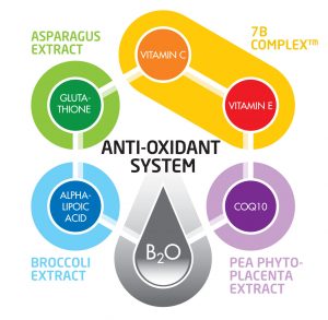 Read more about the article 6 CORE Anti-oxidant System